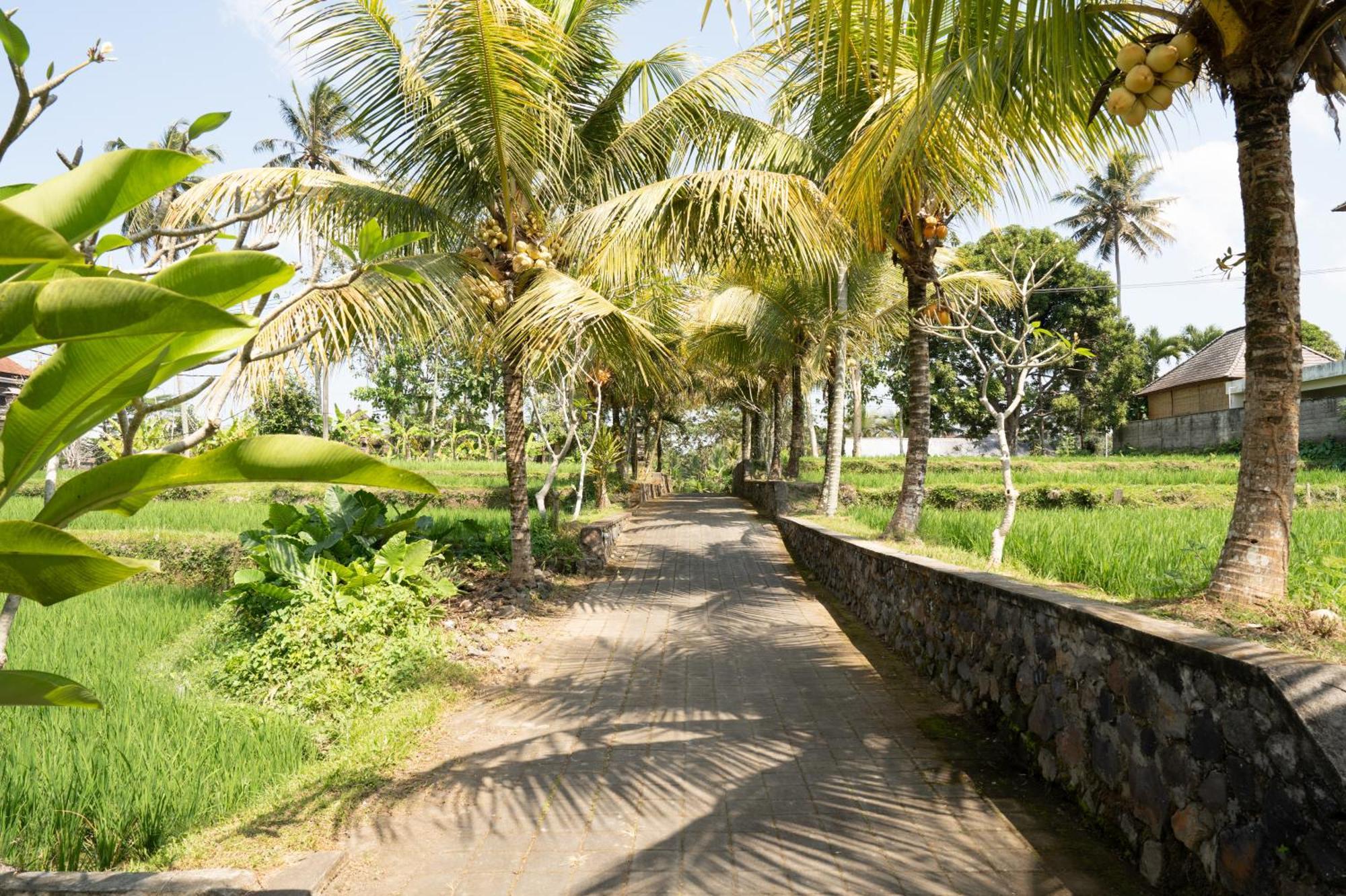Villa The Sakara By Pramana